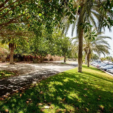 Flor Azul, Americas פלאייה דה לאס אמריקס