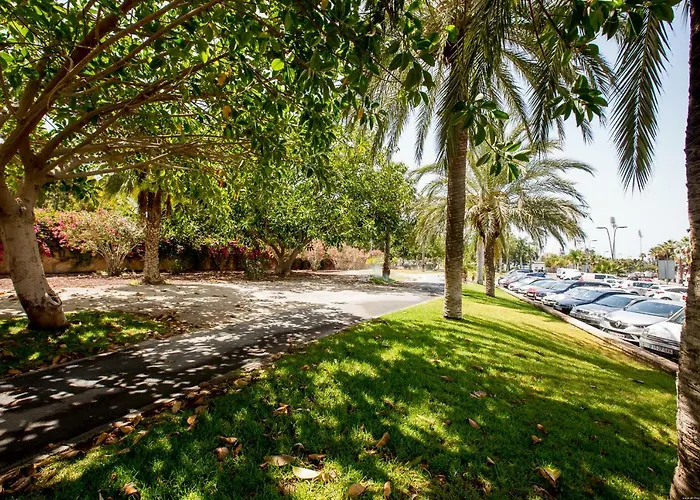 Flor Azul, Americas プラヤ・デ・ラス・アメリカス